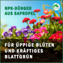  Bio Blumen und Balkondünger